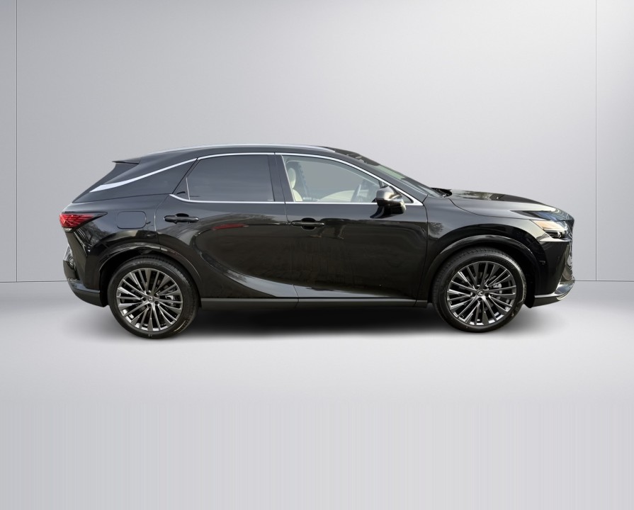 Lexus Seria RX 450h + Luxury Line (2)