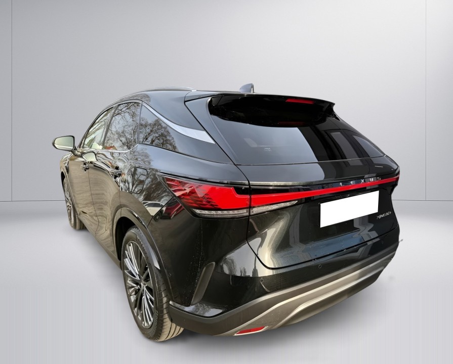 Lexus Seria RX 450h + Luxury Line (5)
