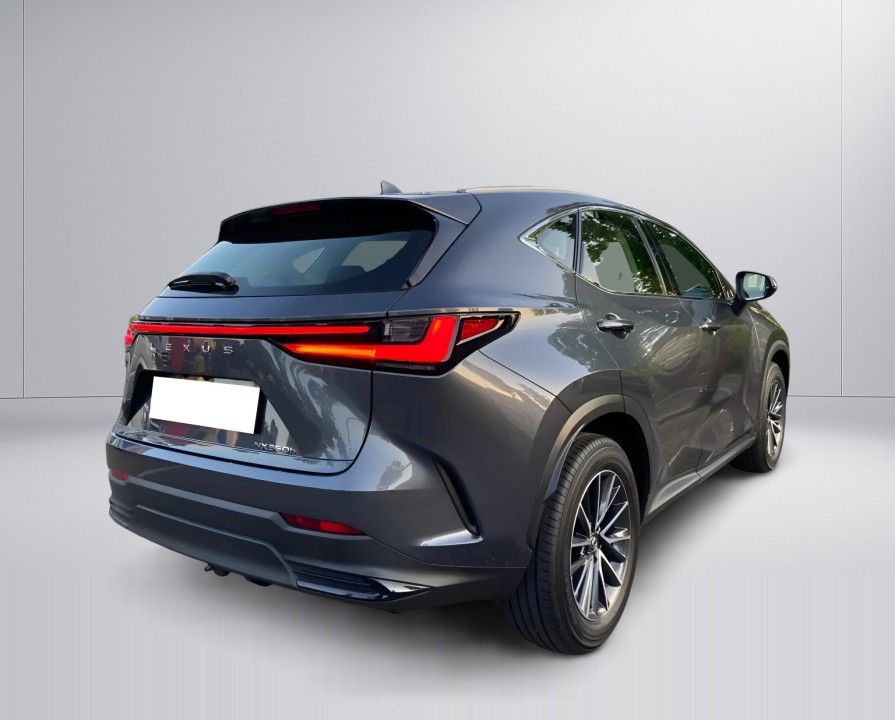 LEXUS NX 2024 — imagine 3