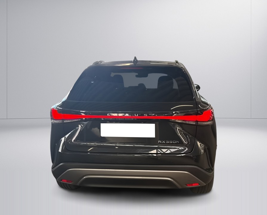 Lexus Seria RX 350h E-Four Executive (4)
