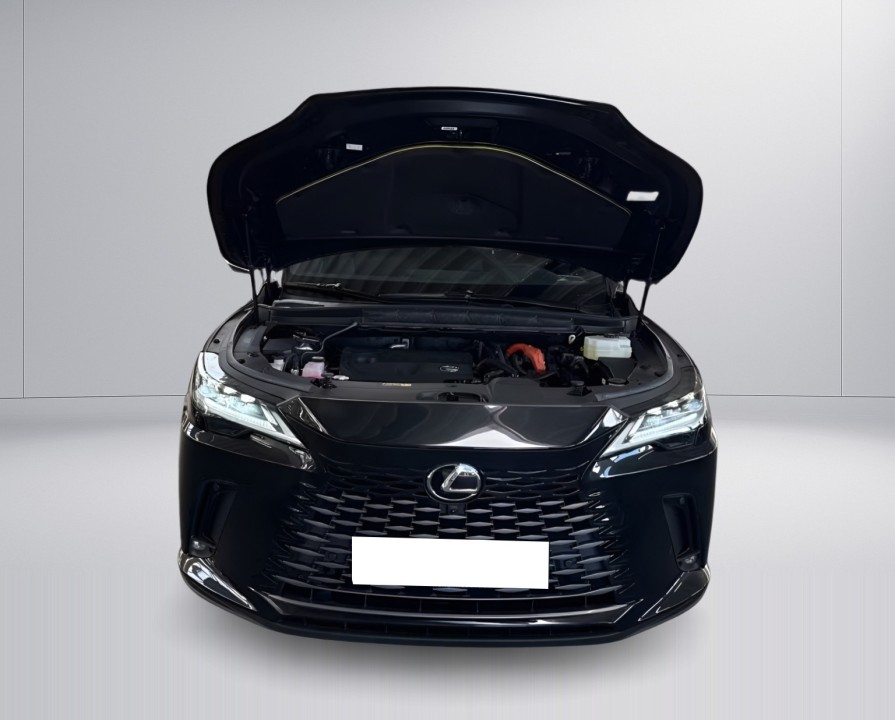 Lexus Seria RX 350h E-Four Executive - foto 13