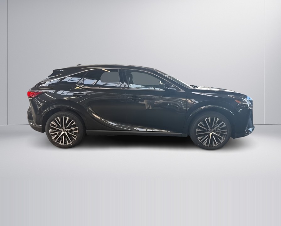 Lexus Seria RX 350h E-Four Executive (2)
