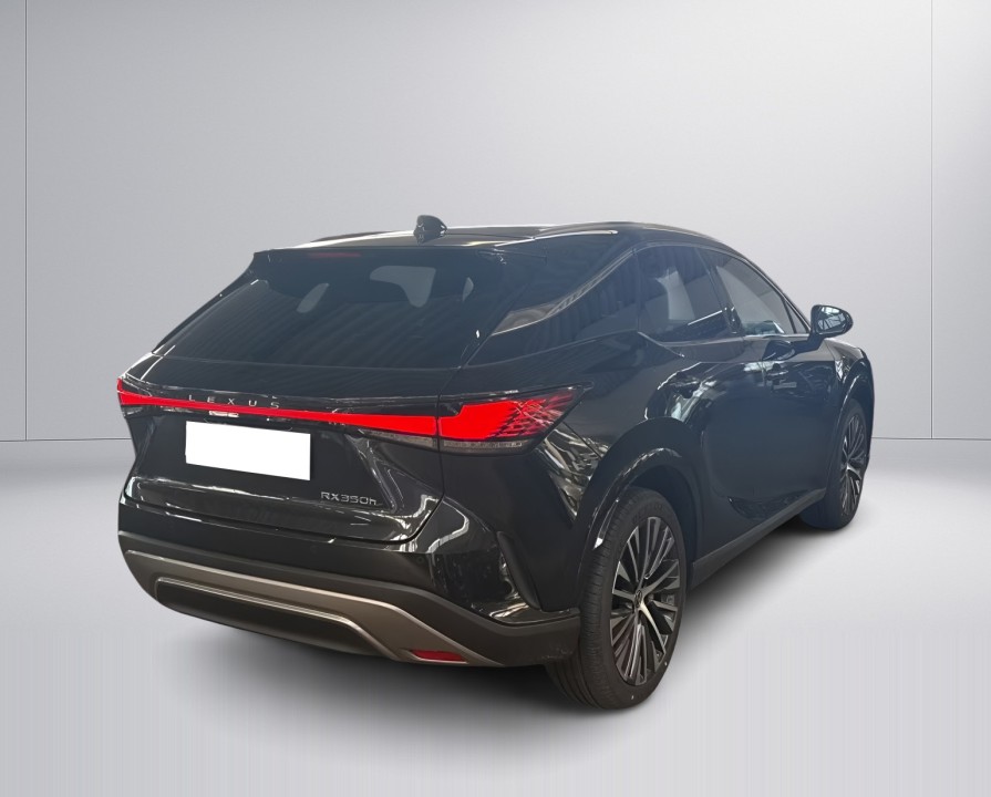 Lexus Seria RX 350h E-Four Executive (3)