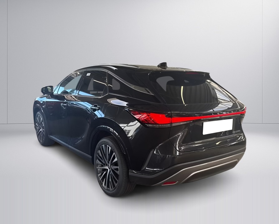 Lexus Seria RX 350h E-Four Executive (5)