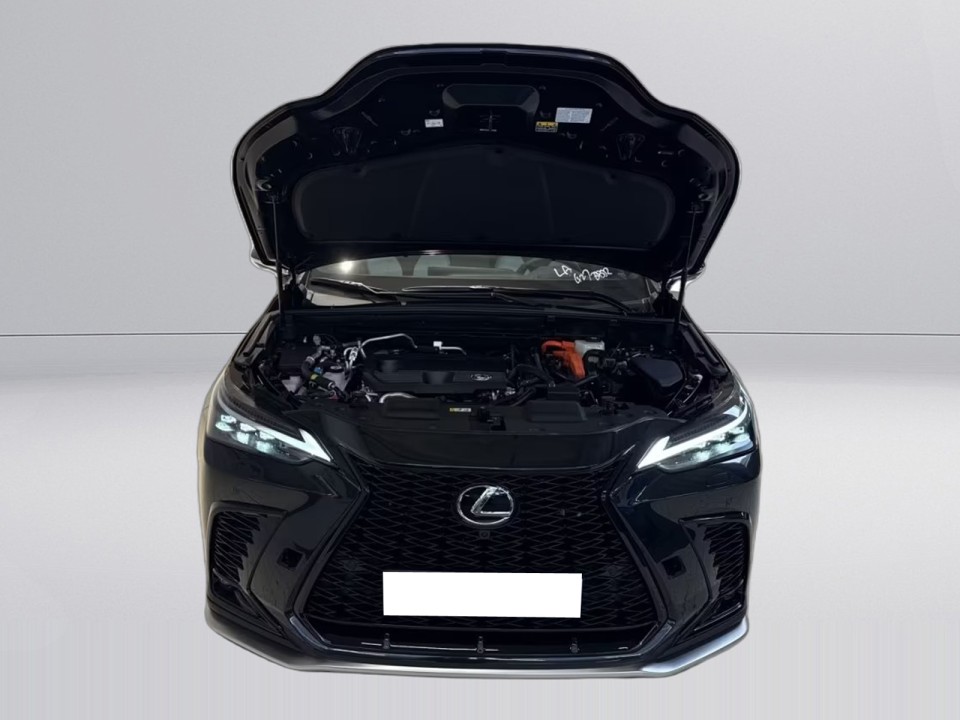 Lexus Seria NX 450h+ E-Four F-Sport - foto 15