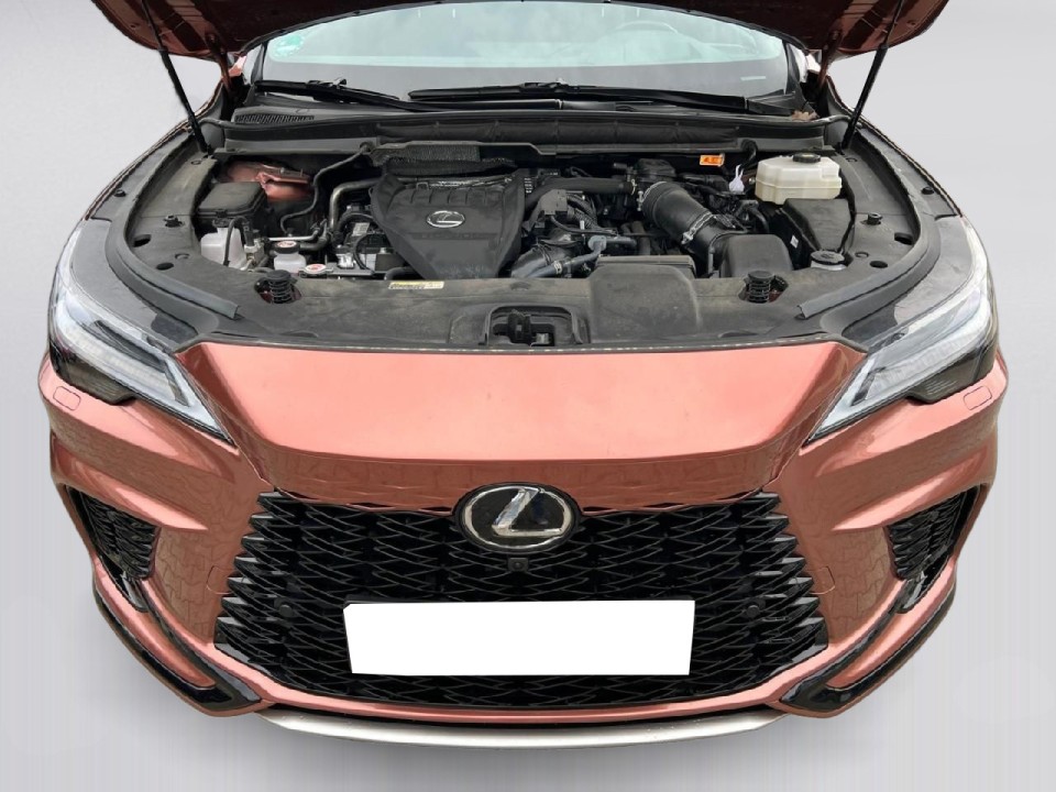 Lexus Seria RX 500h AWD F-Sport - foto 16