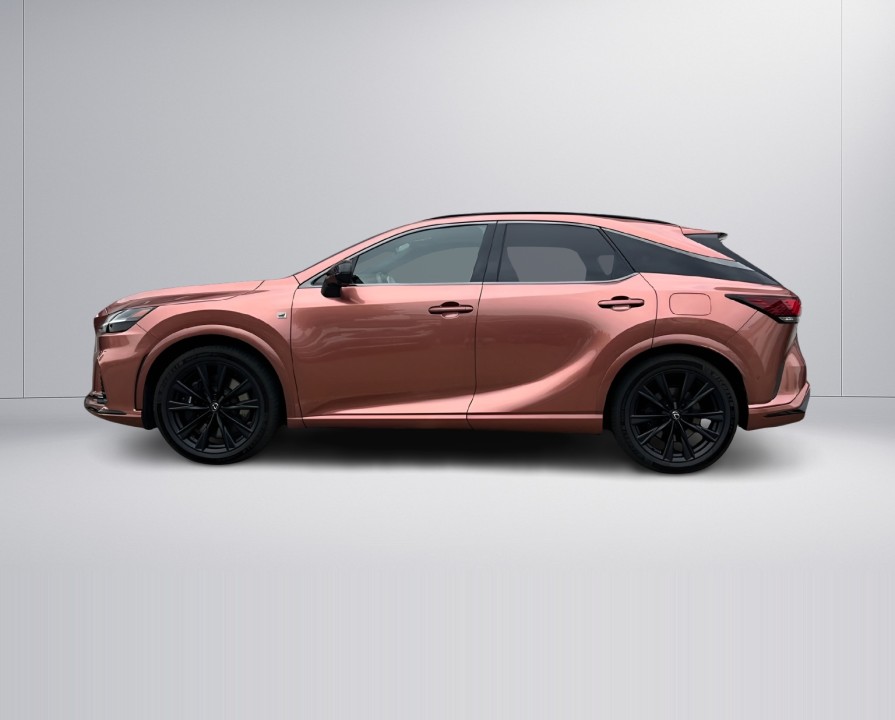 Lexus Seria RX 500h AWD F-Sport - foto 6