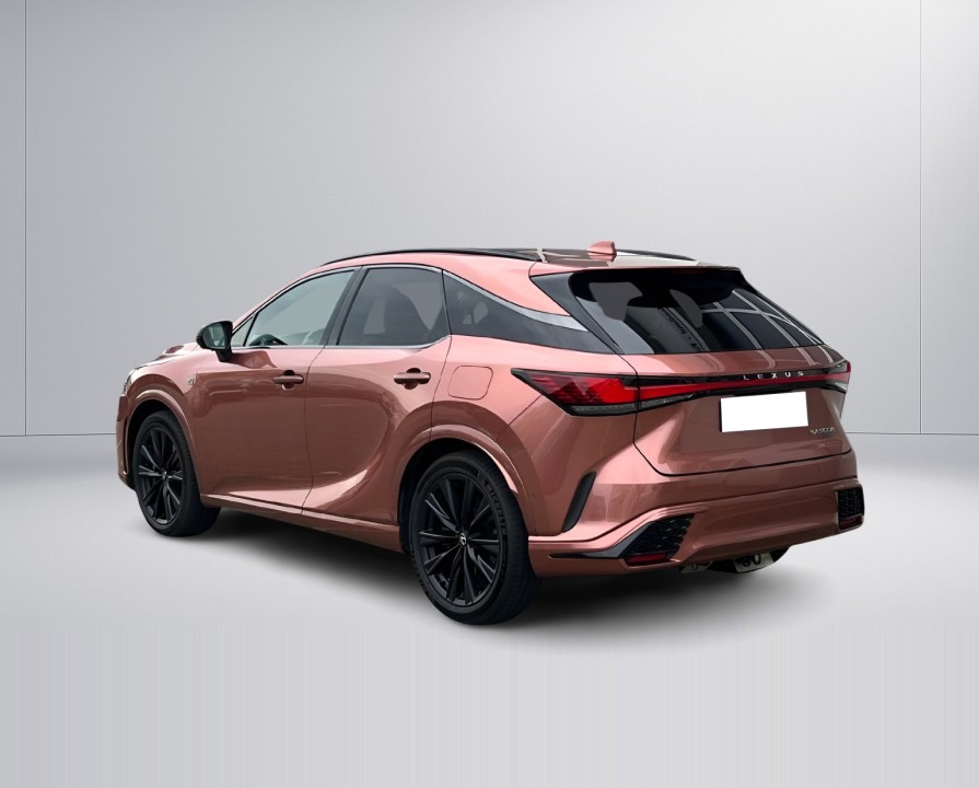 Lexus Seria RX 500h AWD F-Sport (5)