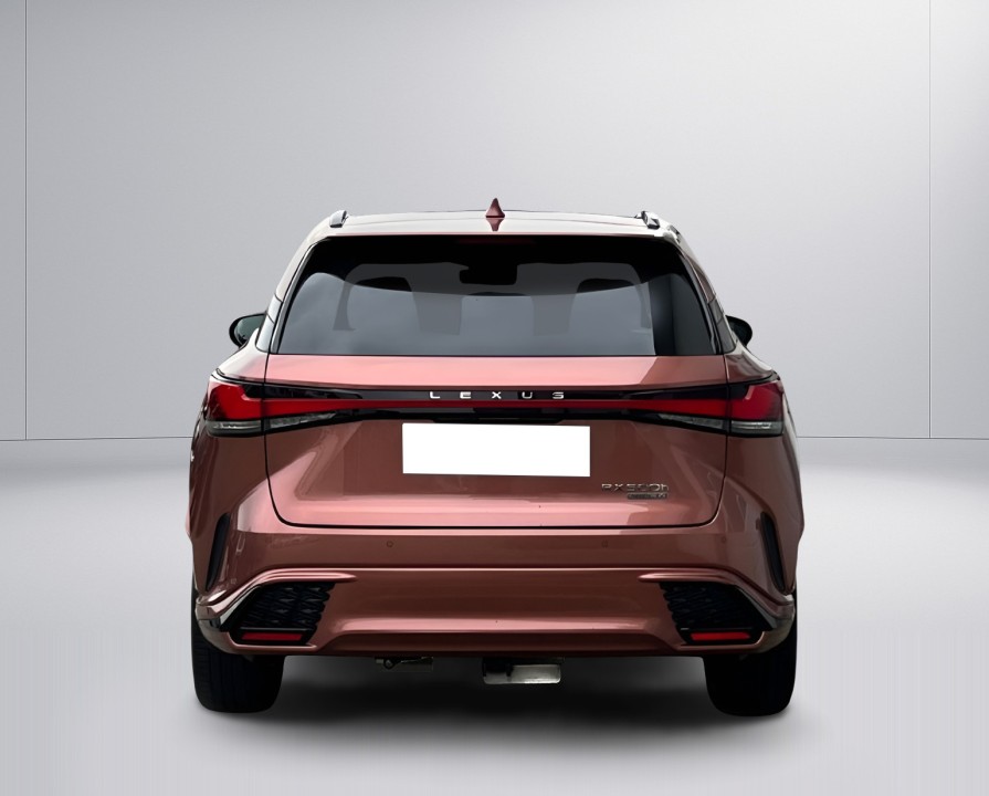 Lexus Seria RX 500h AWD F-Sport (4)