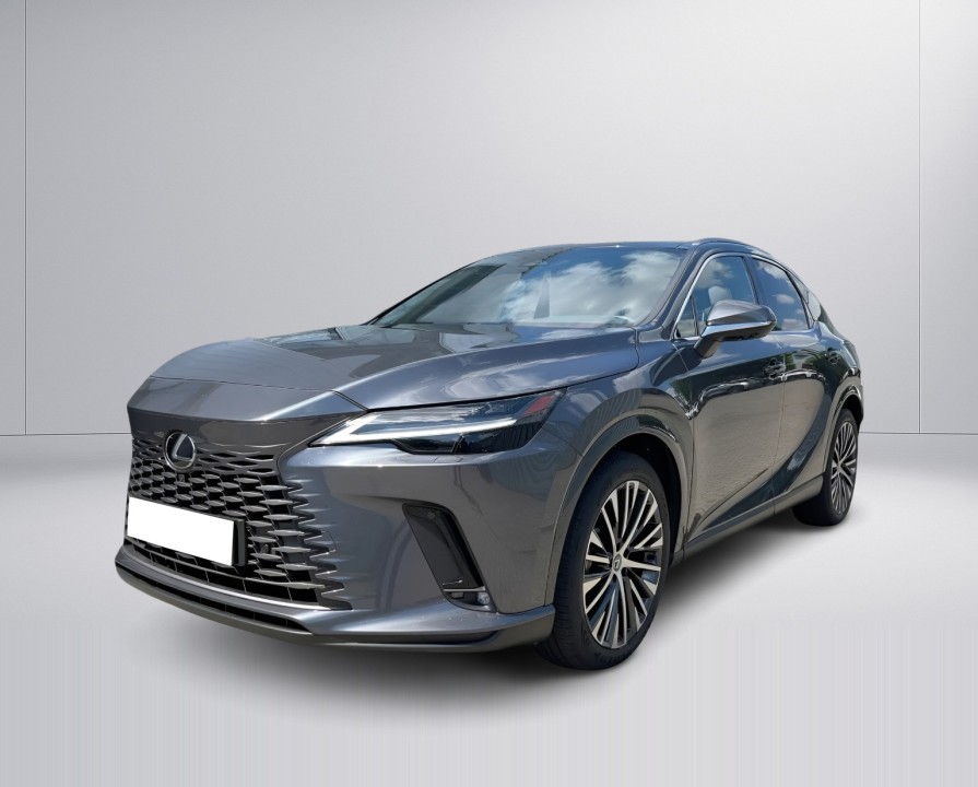 Lexus Seria RX 450h+ AWD Executive Line (5)