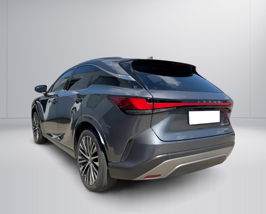 Lexus Seria RX 450h+ AWD Executive Line (3)