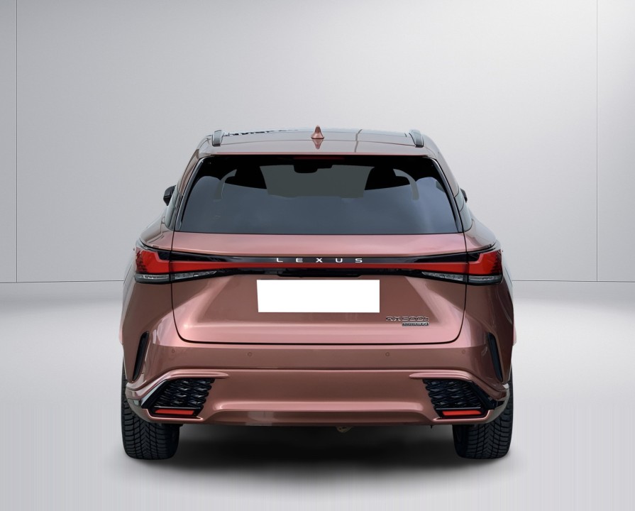 Lexus Seria RX 500h F-Sport (4)