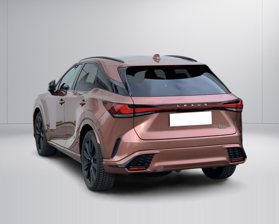 Lexus Seria RX 500h F-Sport (5)