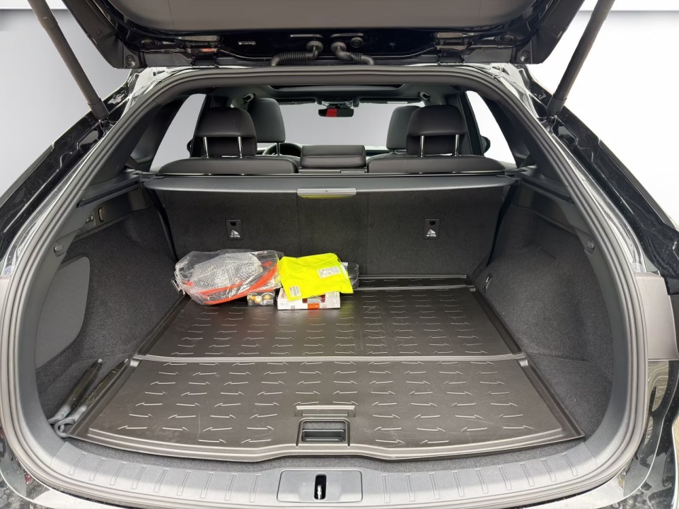 Lexus Seria RX 450h+ F SPORT - foto 14