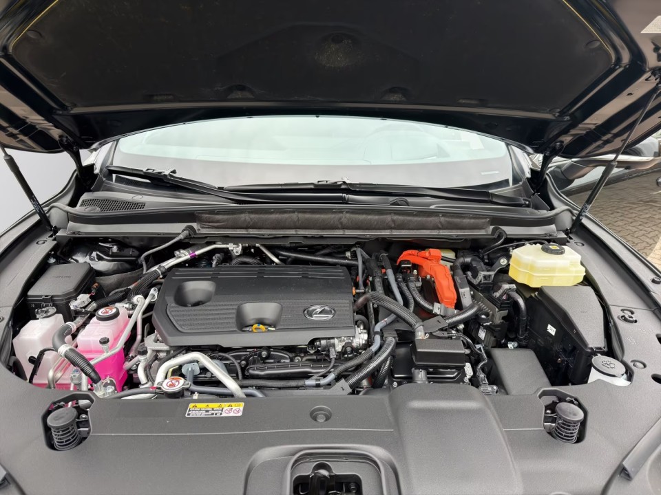 Lexus Seria RX 450h+ F SPORT - foto 13