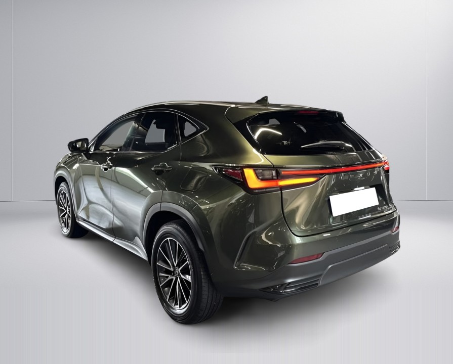 Lexus Seria NX 350h AWD Executive (4)