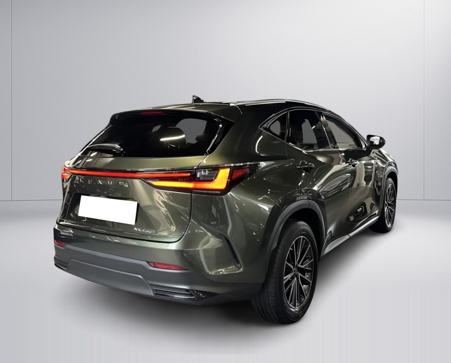 Lexus Seria NX 350h AWD Executive (2)