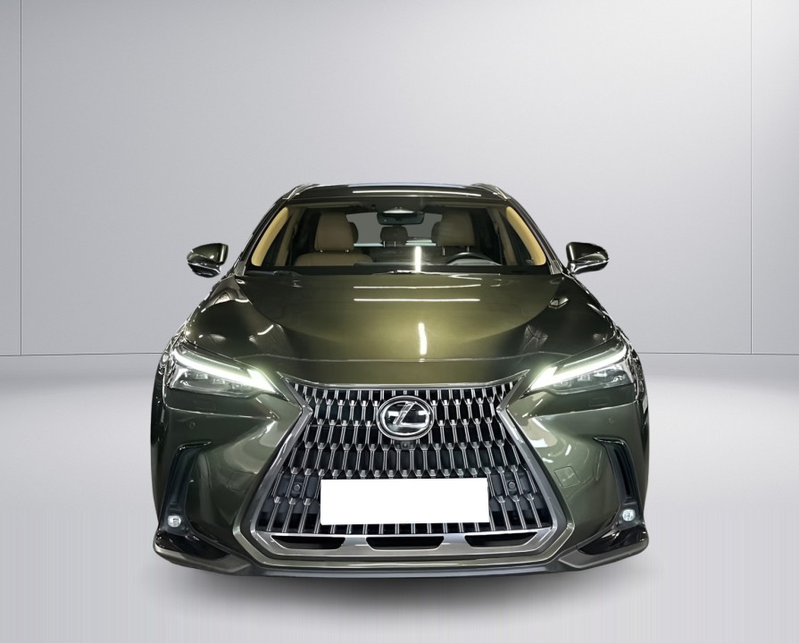 Lexus Seria NX 350h AWD Executive - foto 6
