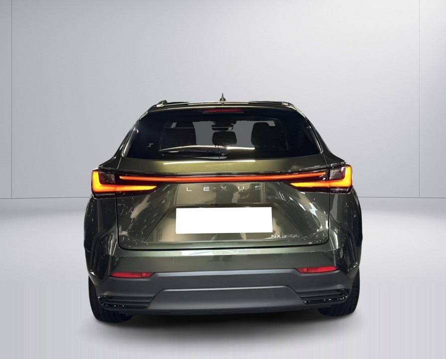 Lexus Seria NX 350h AWD Executive (3)