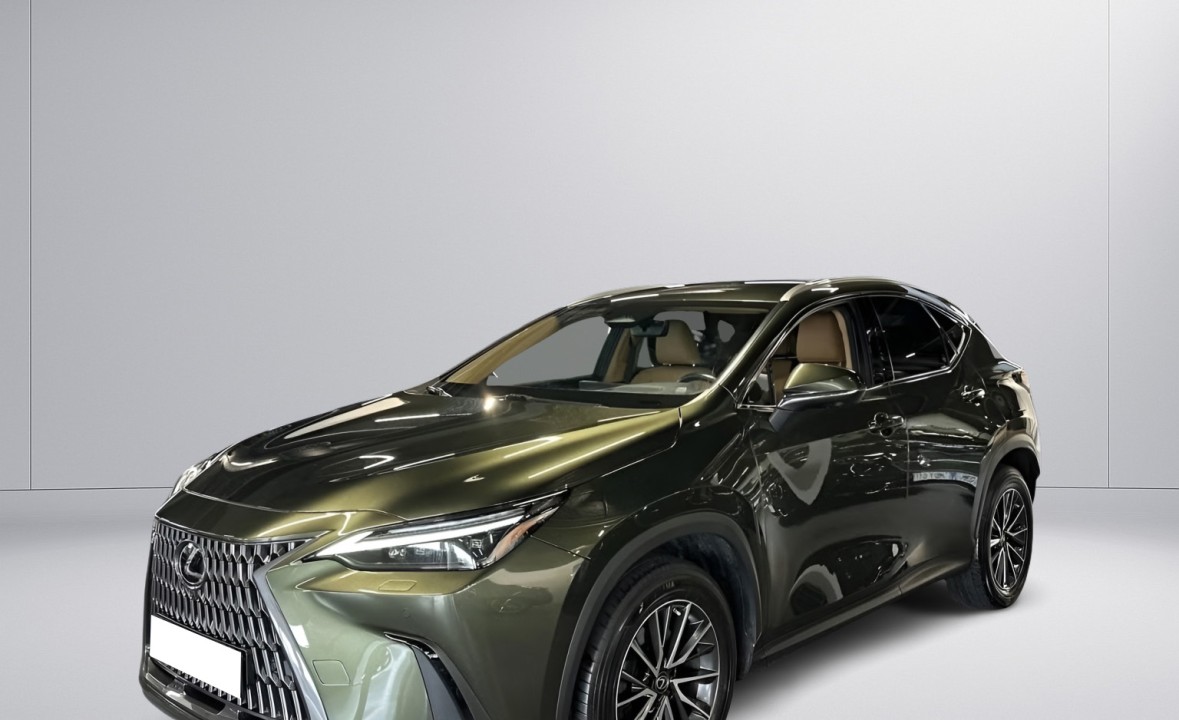 Lexus Seria NX 350h AWD Executive (5)