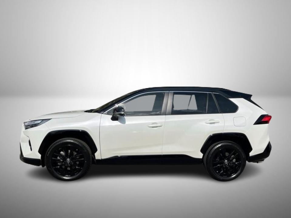 Toyota RAV4 2.5 4x4 Hybrid (2)