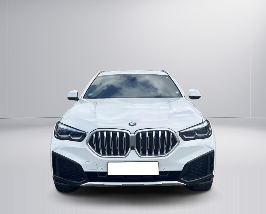 BMW X6 xDrive40i (2)