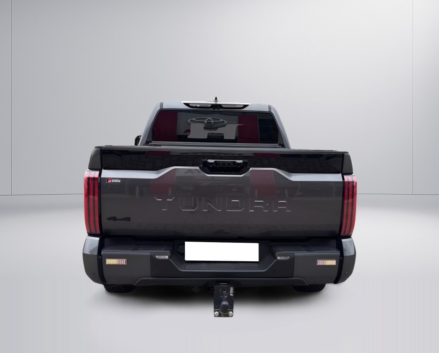 Toyota Tundra Platinum (3)