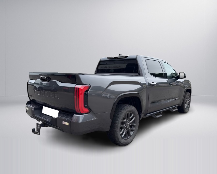 Toyota Tundra Platinum (2)