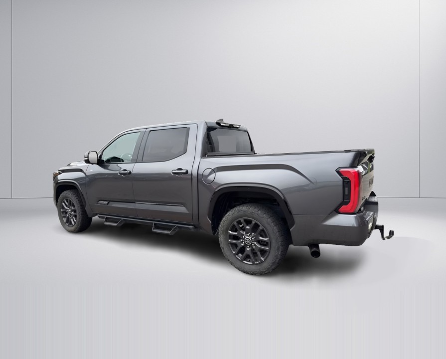 Toyota Tundra Platinum (4)