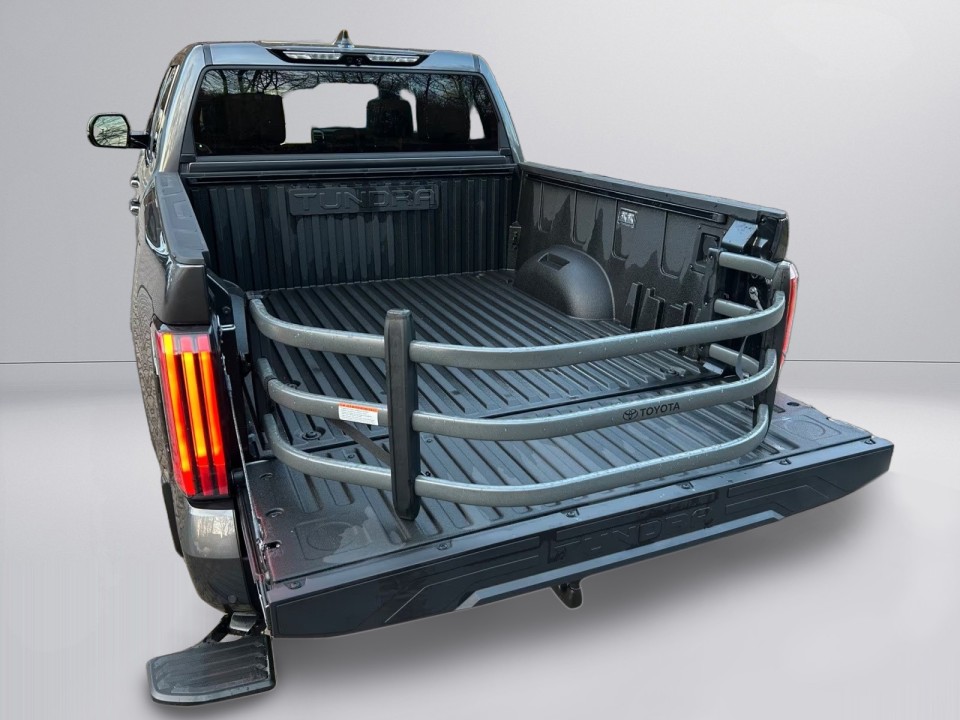 Toyota Tundra 1794 Edition - foto 22