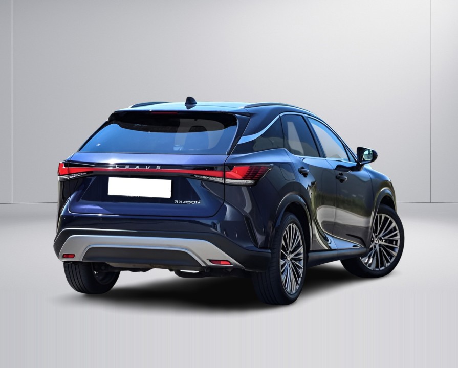 Lexus Seria RX 450h+ AWD Luxury Line (3)