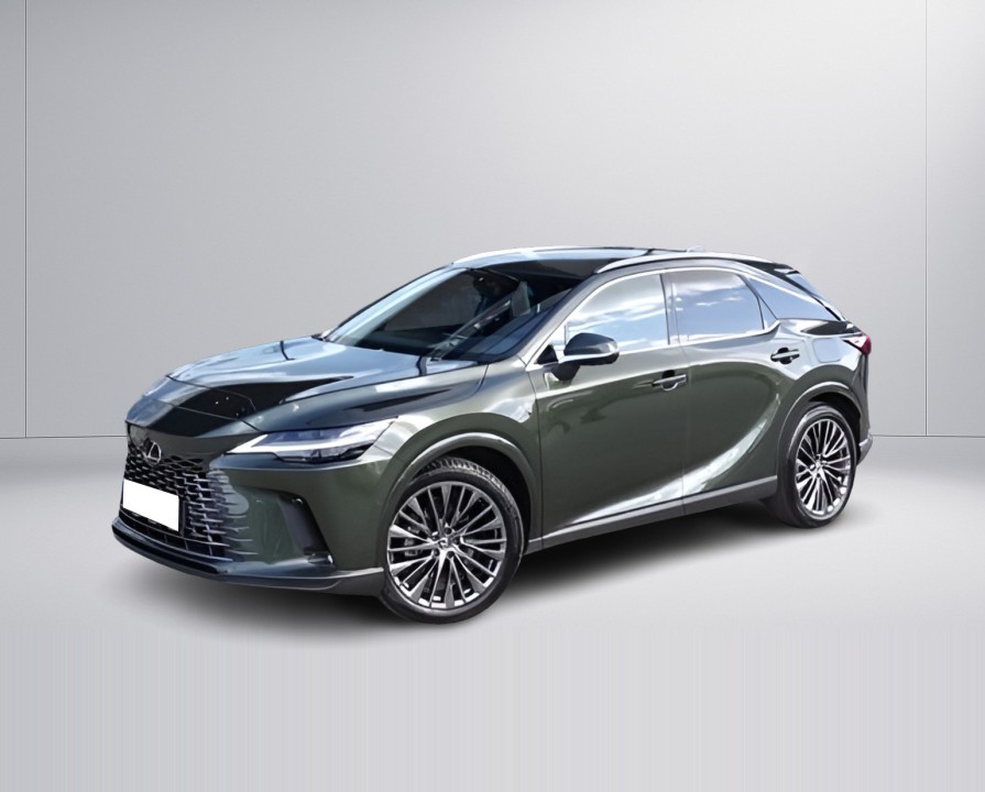 Lexus Seria RX 450h+ (5)