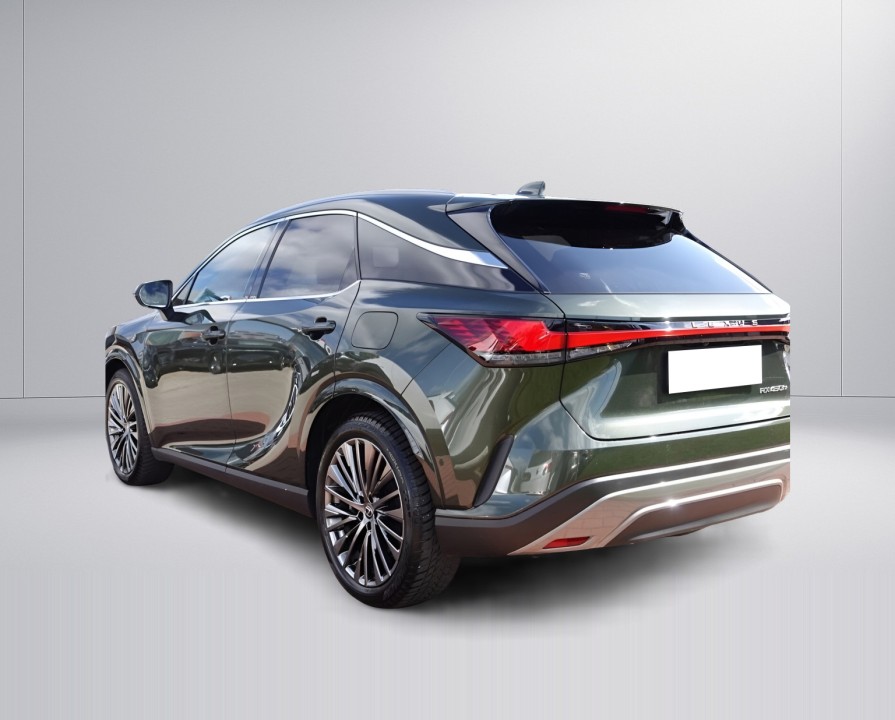 Lexus Seria RX 450h+ (4)