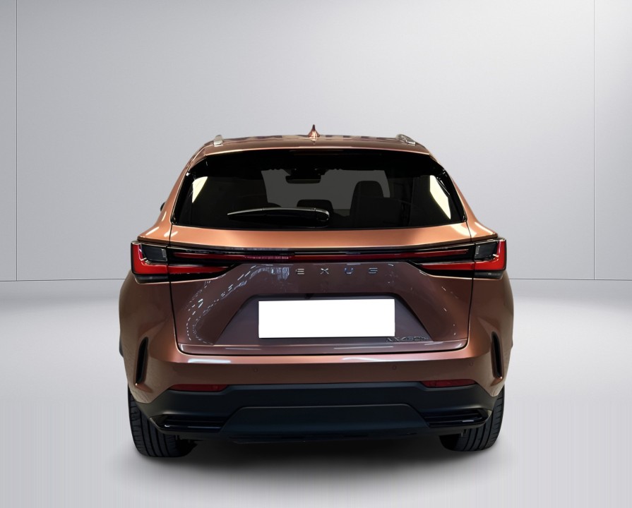 Lexus Seria NX 450h+ AWD Prestige (4)
