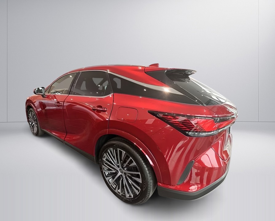 Lexus Seria RX 450h+ E-Four Executive (4)