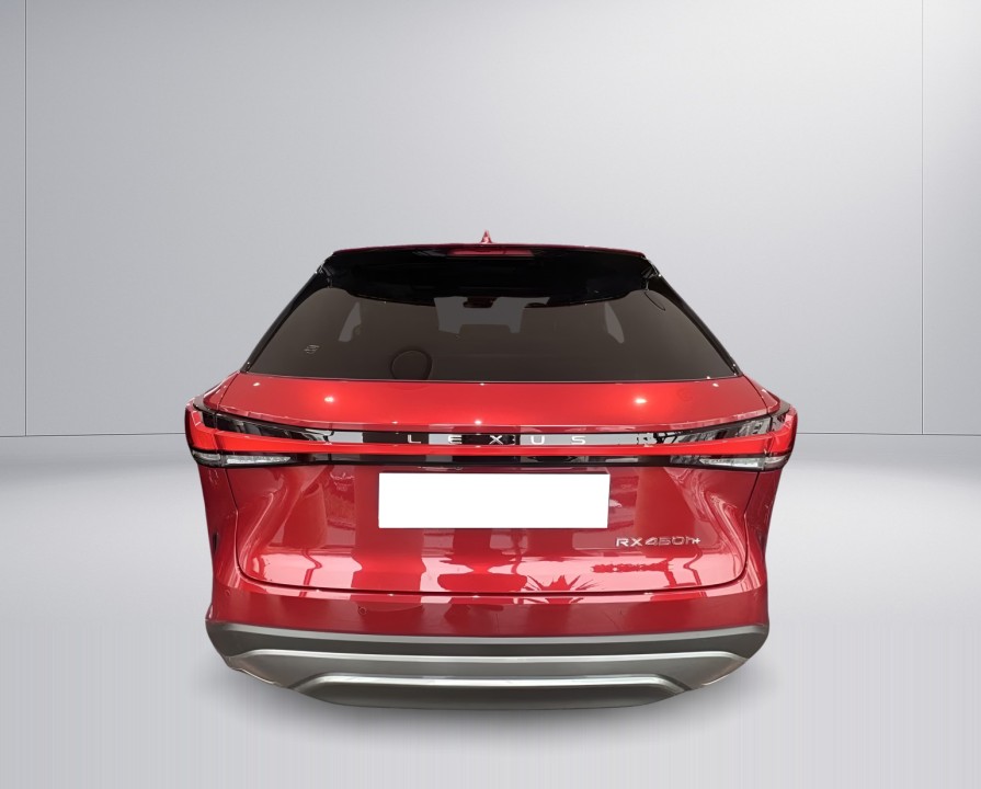 Lexus Seria RX 450h+ E-Four Executive (5)