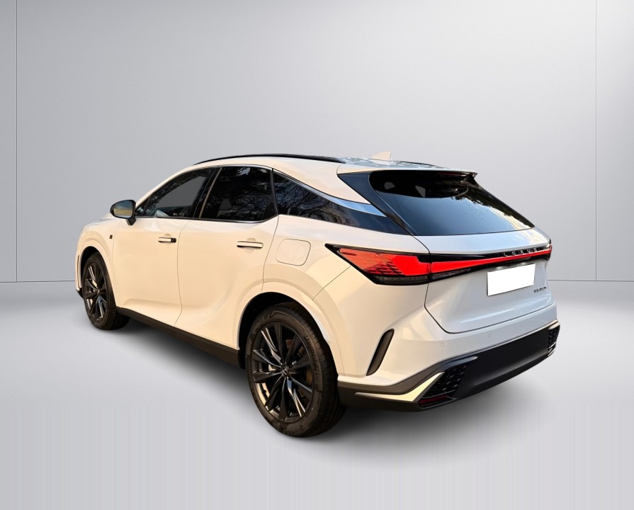 Lexus Seria RX 450h+ E-Four F-Sport Design (5)