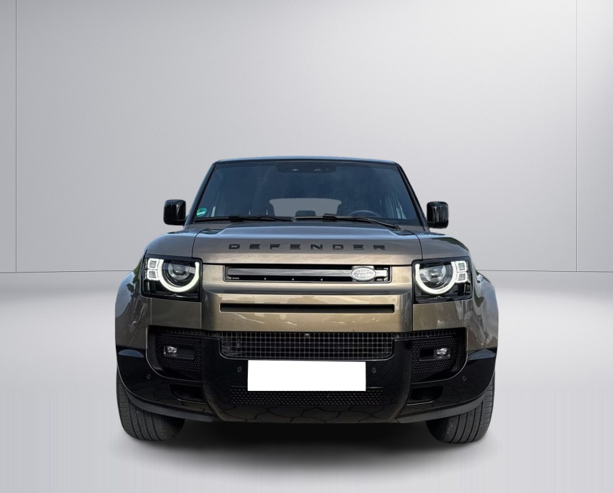 Land Rover Defender (2)