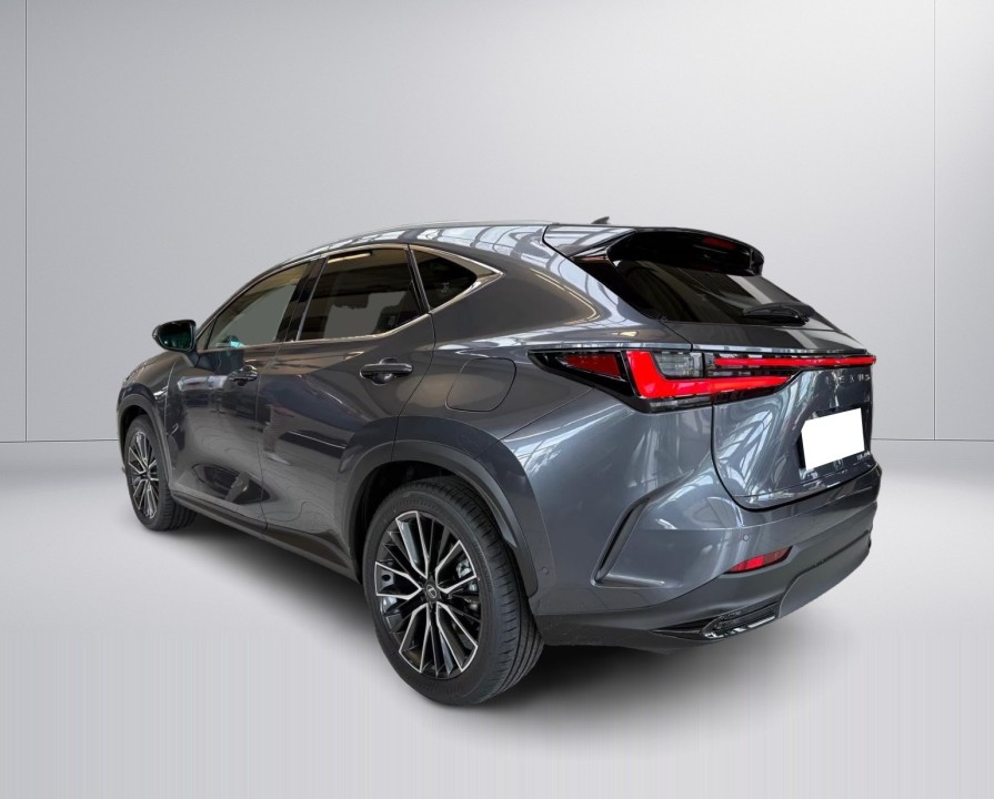 Lexus Seria NX 450h+ Luxury Line (5)