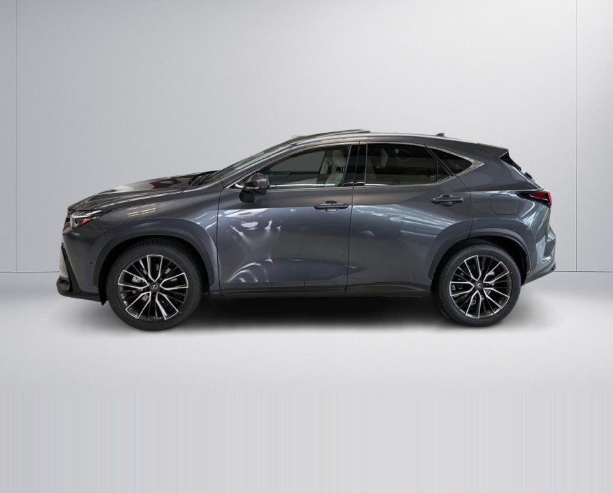 Lexus Seria NX 450h+ Luxury Line (4)