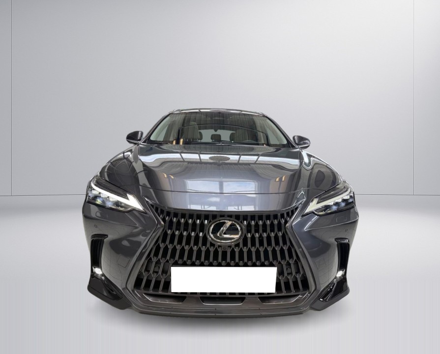 Lexus Seria NX 450h+ Luxury Line (2)