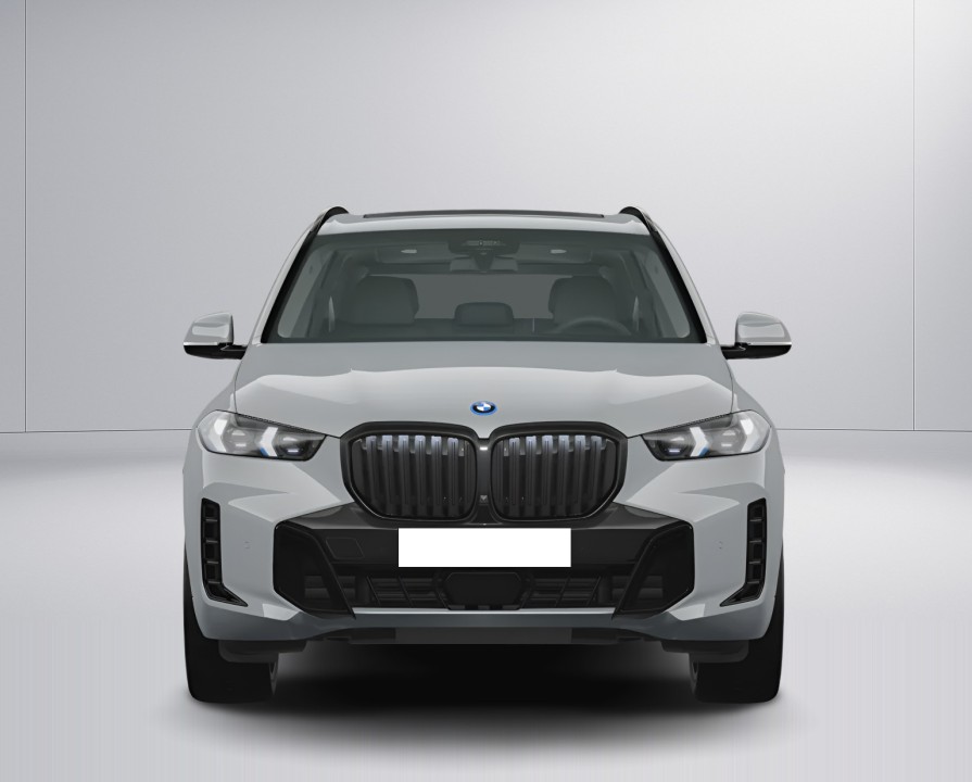 BMW X5 xDrive50e (2)