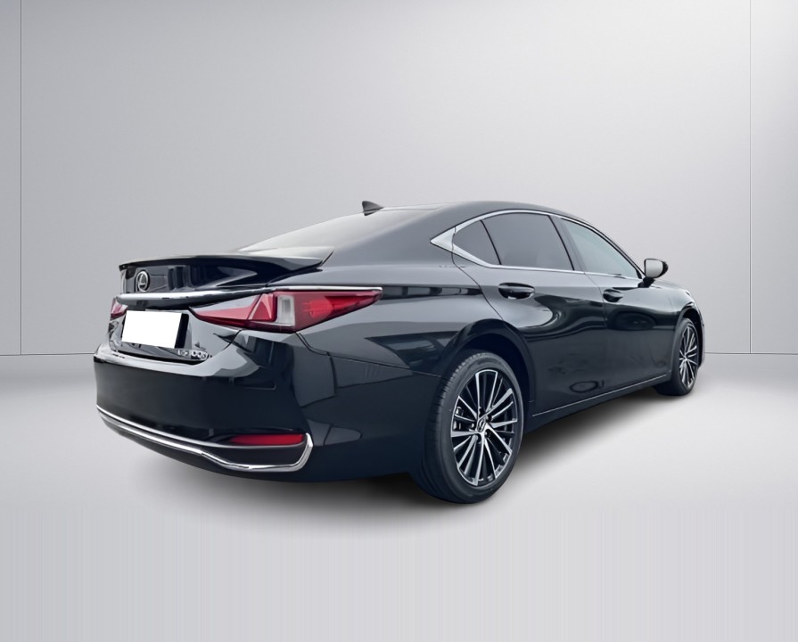 Lexus Seria ES 300h Business Line (3)