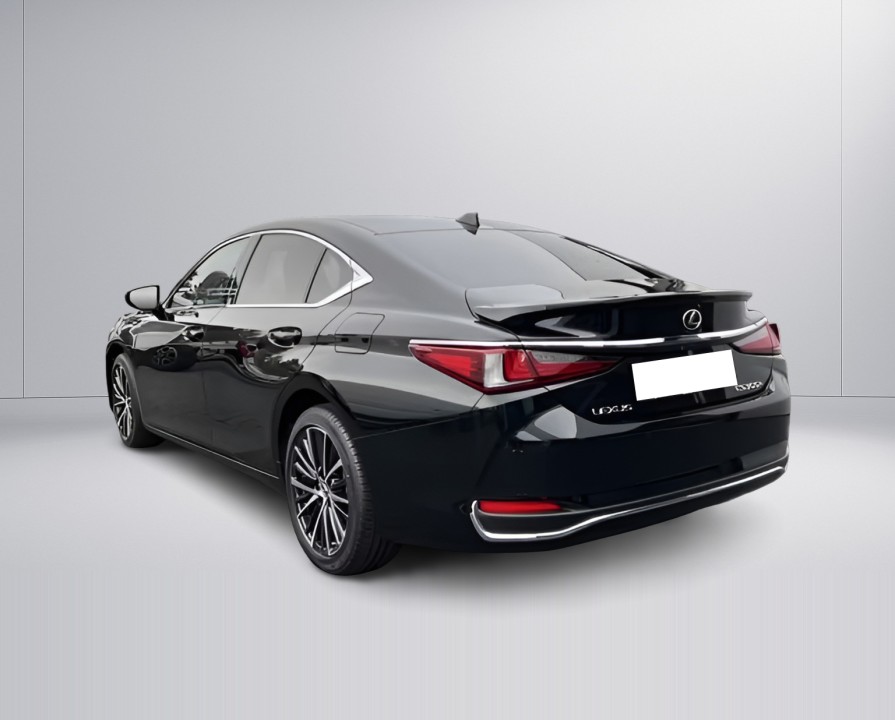 Lexus Seria ES 300h Business Line (5)