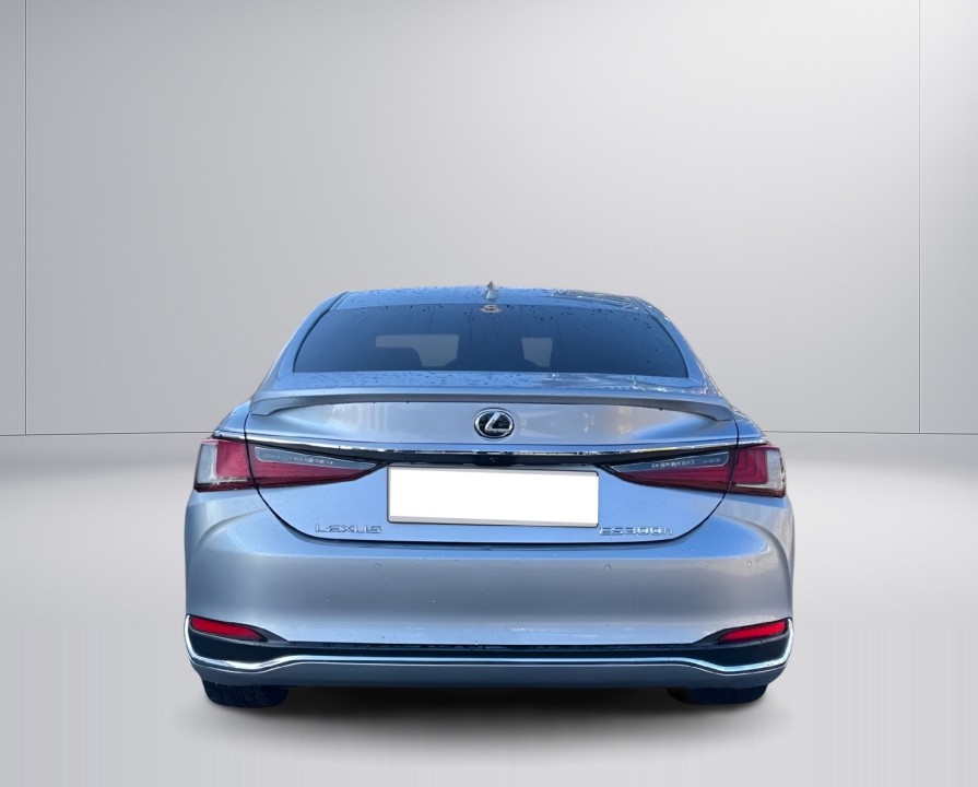 Lexus Seria ES 300h Business Line (4)