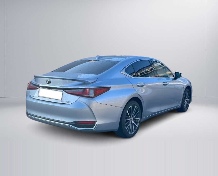 Lexus Seria ES 300h Business Line (3)