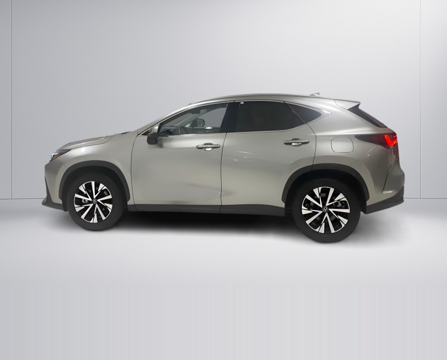 Lexus Seria NX 350h (5)