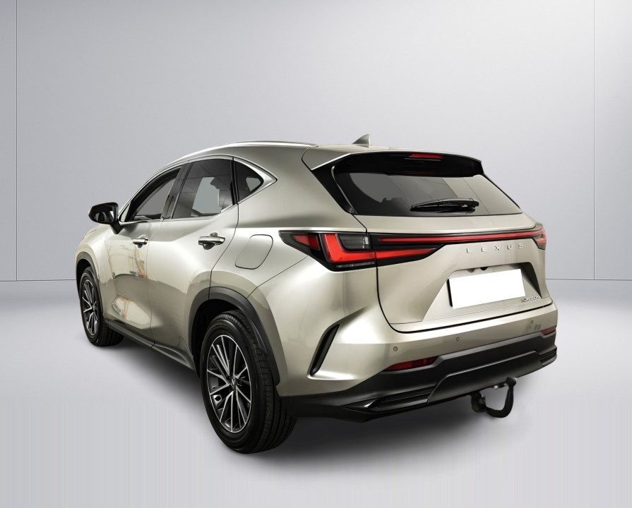 Lexus Seria NX 450h+ Business Line (2)