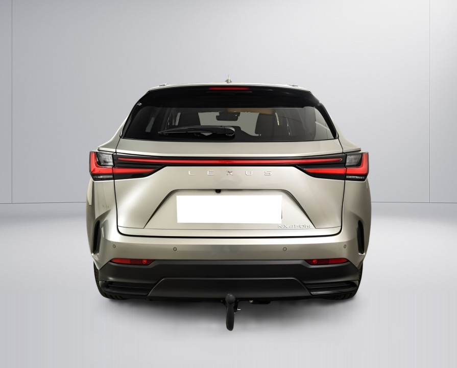 Lexus Seria NX 450h+ Business Line (3)