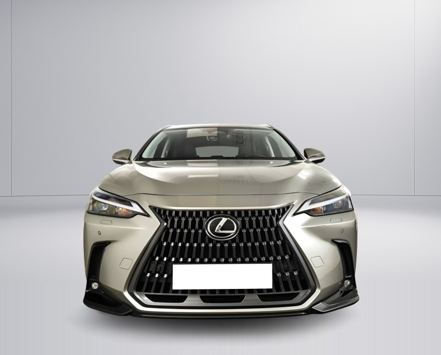 Lexus Seria NX 450h+ Business Line (4)